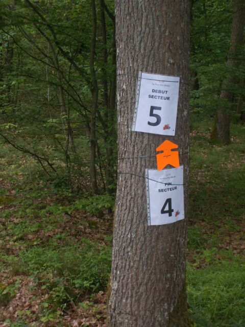 2017-05-14-plaisir (09)