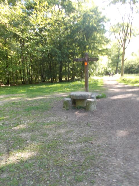 2017-05-14-plaisir (13)