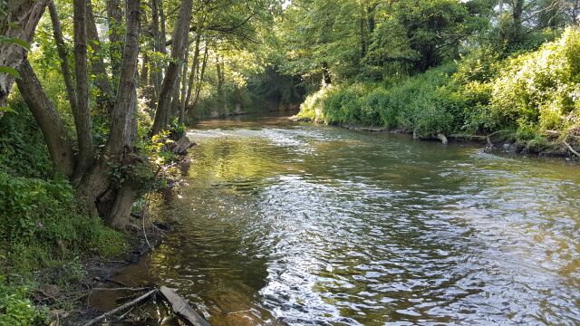 2017-05-25 - conde-sur-vire (002)