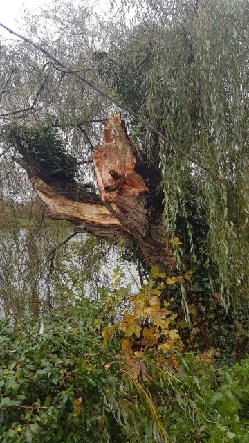 2017-11-12 - montceaux-les-meaux (12)