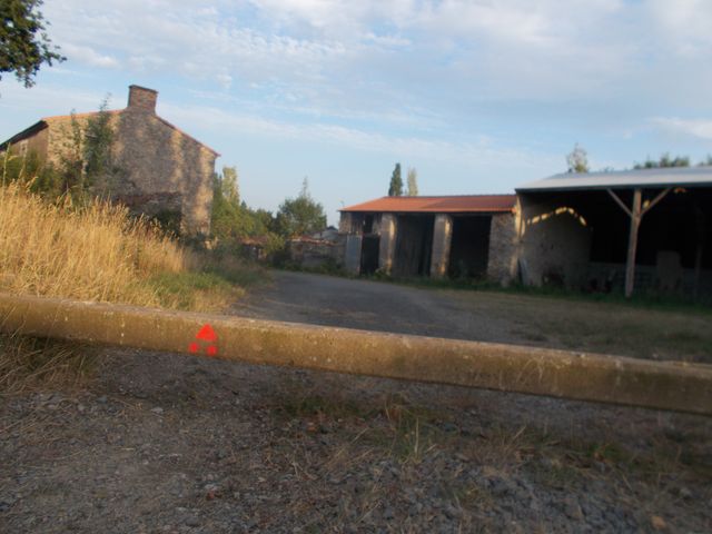 2017-07-08 - saint-lumine-de-coutais (11)
