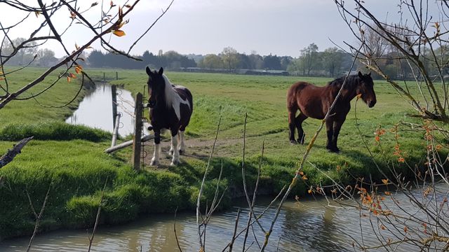 2017-04-05 - saint-jean-de-monts (09)