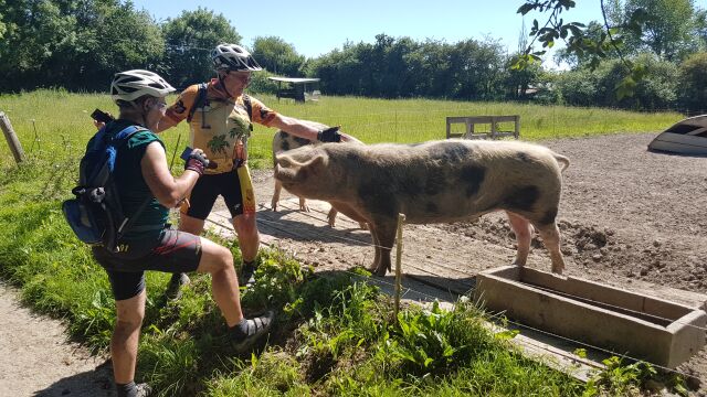 2017-05-26 - coutances (089)