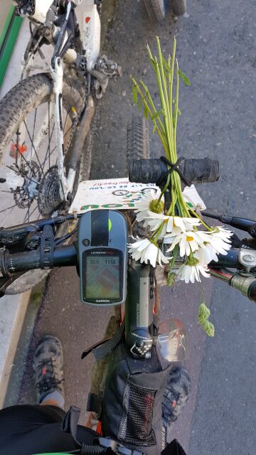 2017-05-26 - coutances (059)