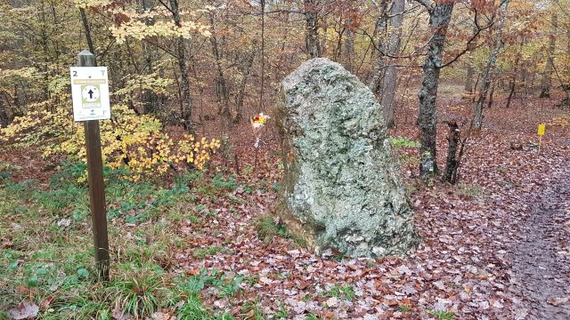 2017-11-11 - montargis (24)
