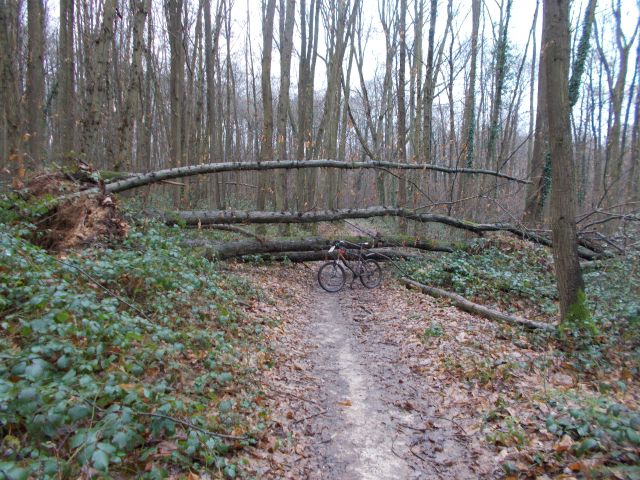 2018-01-25 - saulx-les-chartreux (19)