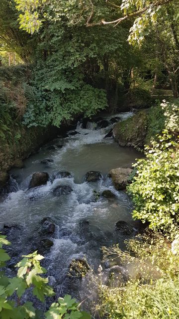 2018-07-01 - pommeuse (15)