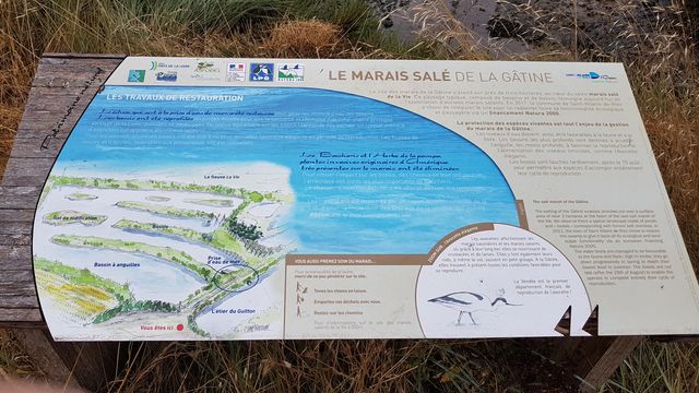 2018-07-30 - st-gilles-croix-de-vie (10)