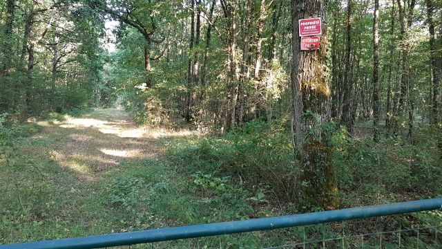 2018-09-01 - neuville-aux-bois (19)
