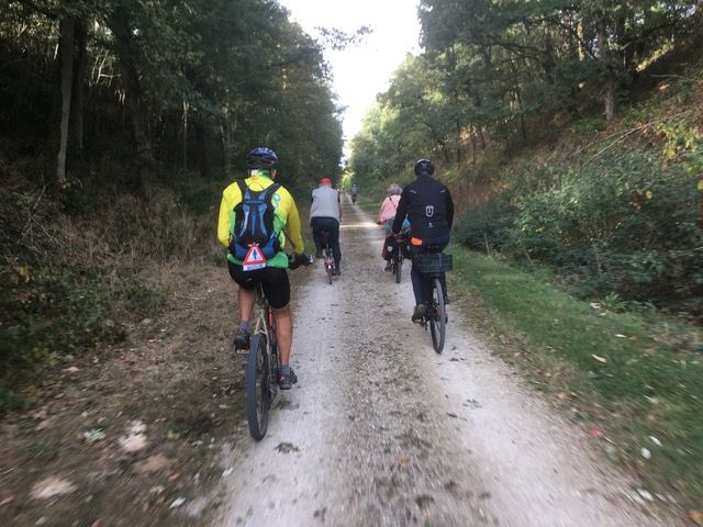 2018-09-22 - bonnelles (28)