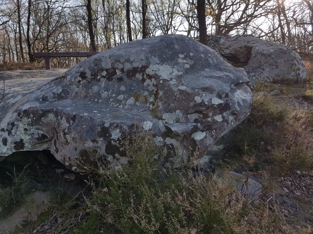 2019-03-31 - villiers-sur-orge (13)