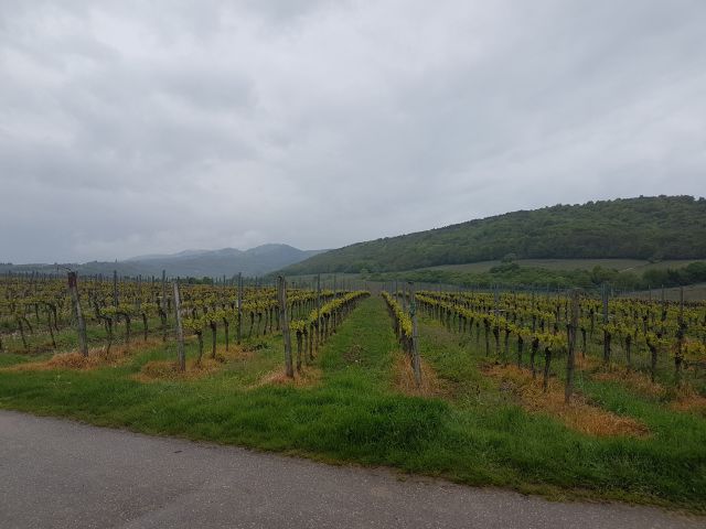 2019-05-09 - landau-in-der-pfalz (09)