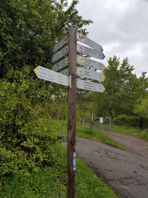 2019-05-09 - landau-in-der-pfalz (15)