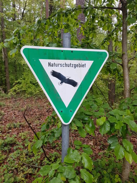 2019-05-09 - landau-in-der-pfalz (17)