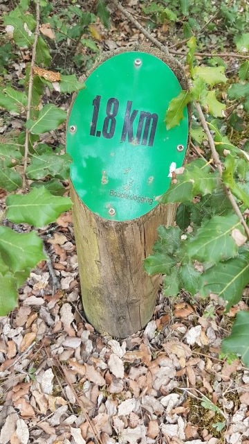 2019-07-20 - saint-jean-de-monts (02)