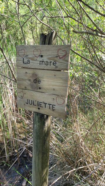 2022-05-28 - la-barre-de-monts (08)