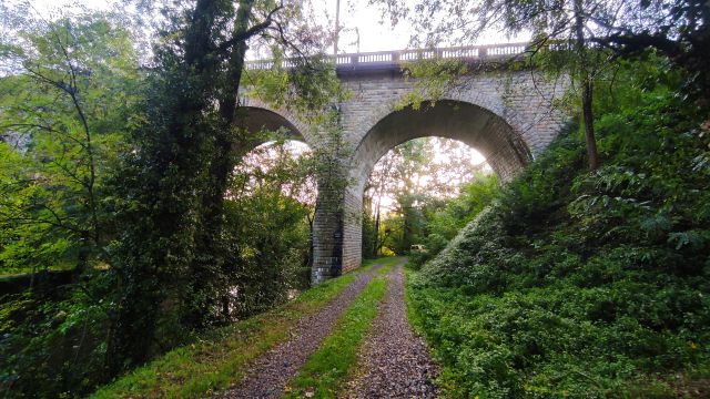 2022-10-16 - bellevigny (10)