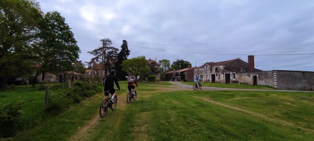 2025-04-13_saint-colomban (08)