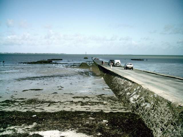 2007-07-17 (027)