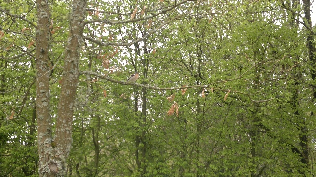 2013-05-10-pre en pail (24)