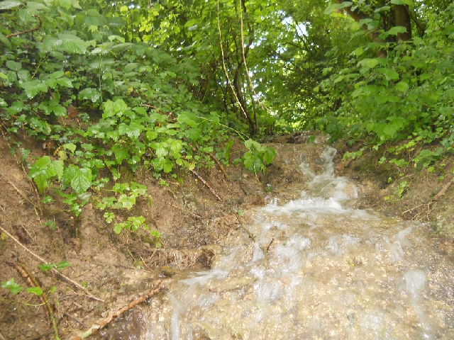 2013-06-09-verneuil-l etang (13)