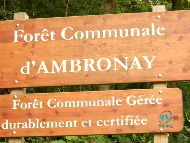 2011-06-03 - st-rambert (035)