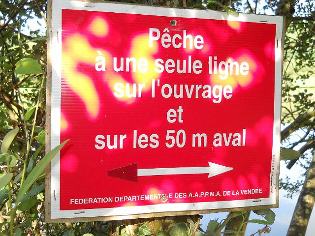 2011-08-01-landevieille (18)
