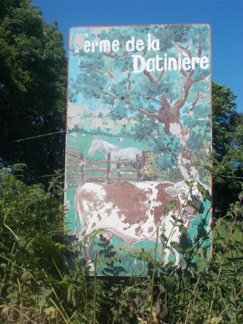 2017-05-26 - coutances (052)