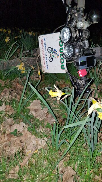 2017-03-20 - le coudray-montceaux (08)
