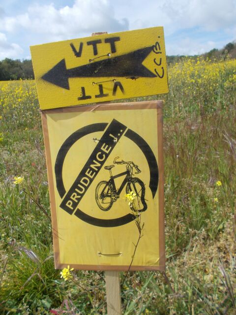 2017-05-01 - boisy-aux-cailles (19)