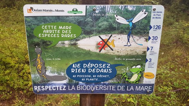 2017-08-09 - saint-jean-de-monts (04)