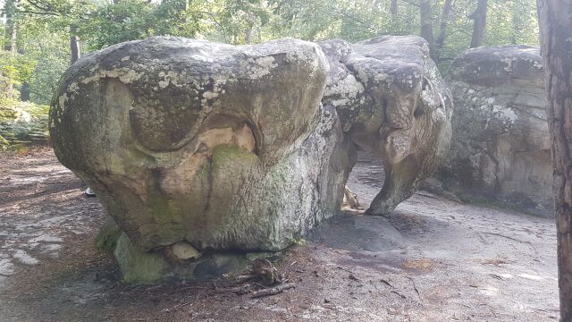 2017-08-27 - fontainebleau (40)