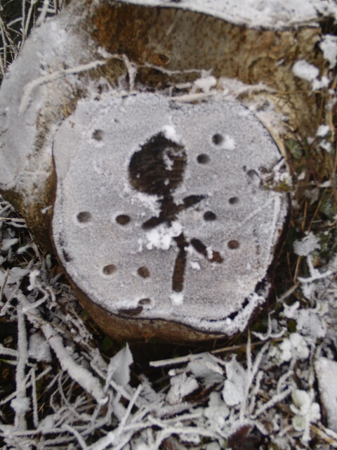 2017-01-01-bondoufle (06)