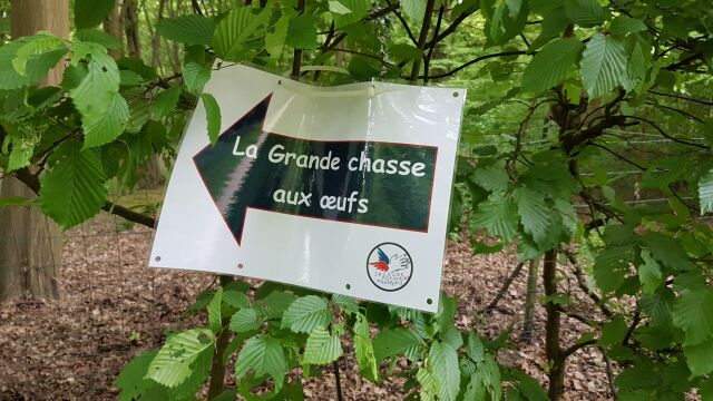 2017-04-17 - bondoufle (09)