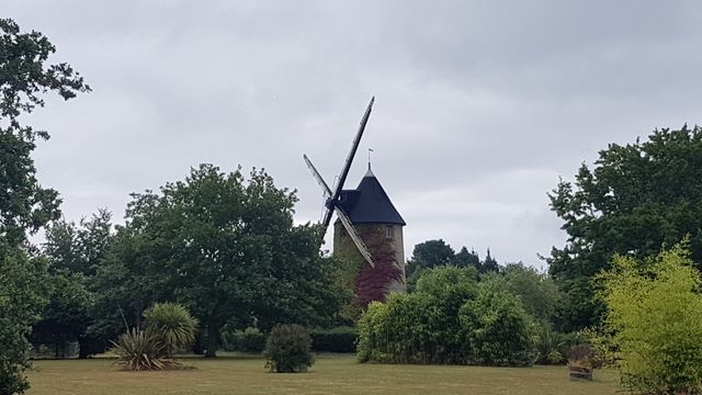 2017-07-27_bouin (03)