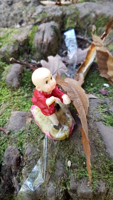 2017-10-14 - bondoufle (03)