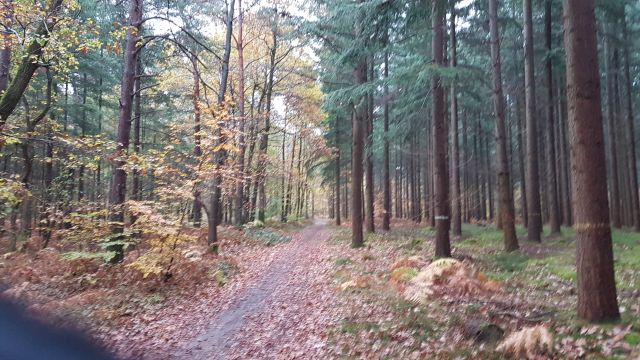 2017-11-11 - montargis (05)