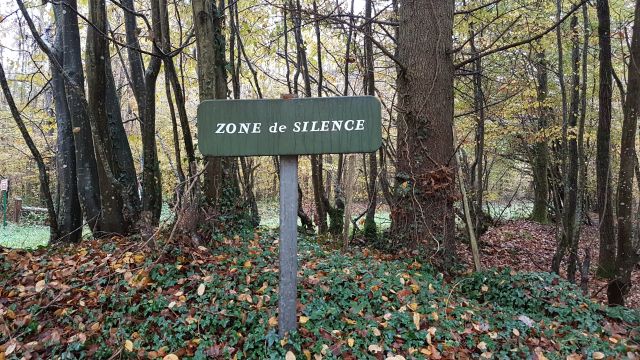 2017-11-11 - montargis (20)