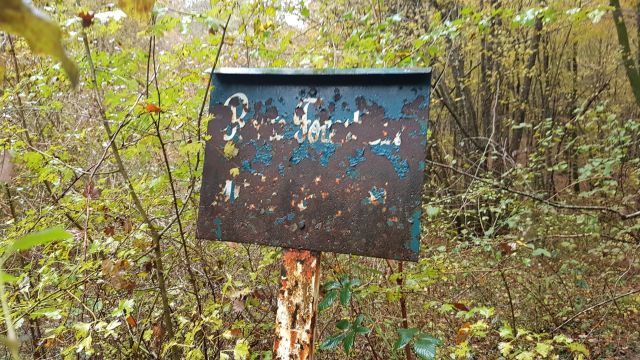 2017-11-11 - montargis (22)