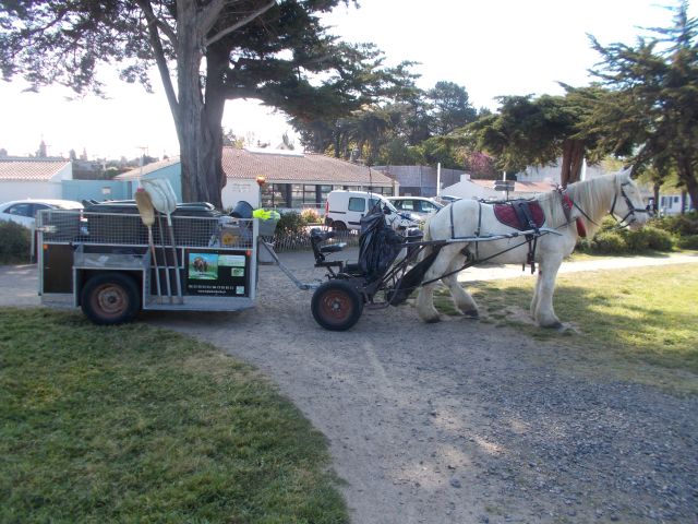 2021-04-18 - saint-jean-de-monts (05)