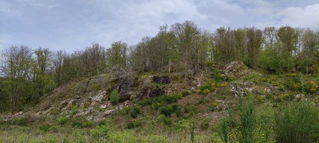 2024-04-29 - servance (34)