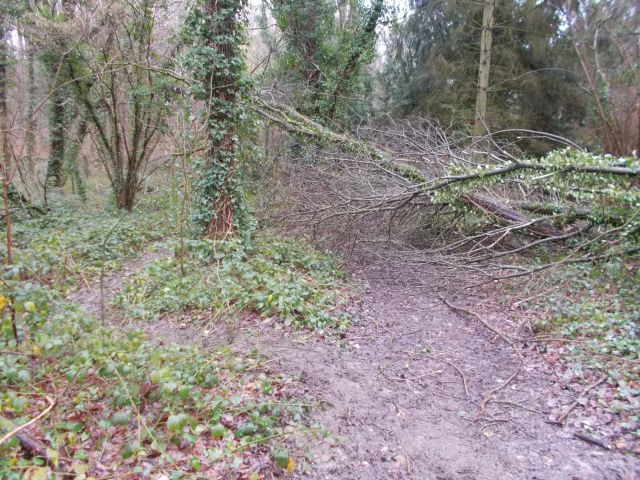 2018-01-25 - saulx-les-chartreux (11)