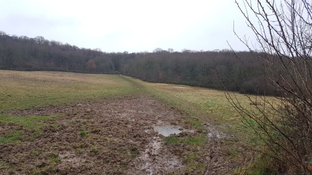 2018-01-25 - saulx-les-chartreux (13)