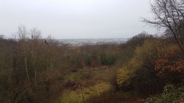 2018-01-25 - saulx-les-chartreux (18)