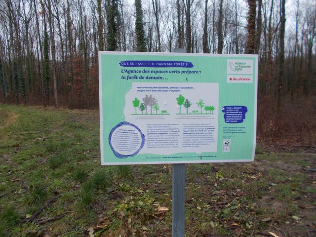 2018-01-25 - saulx-les-chartreux (27)