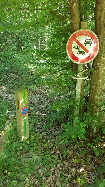 2018-05-20 - mormant (12)