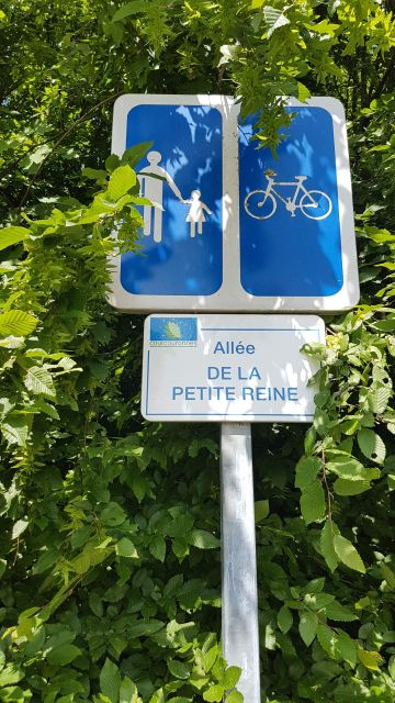 2018-05-27 - bondoufle (06)