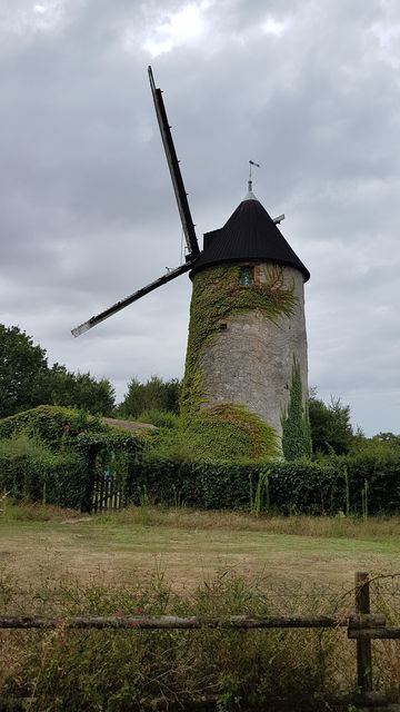 2018-07-28 - bois-de-cene (01)
