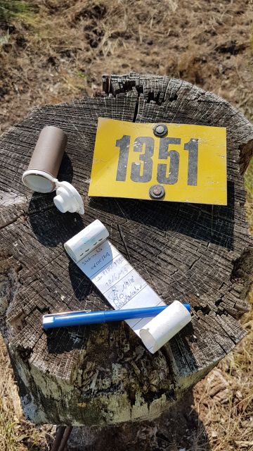 2018-09-01 - neuville-aux-bois (11)