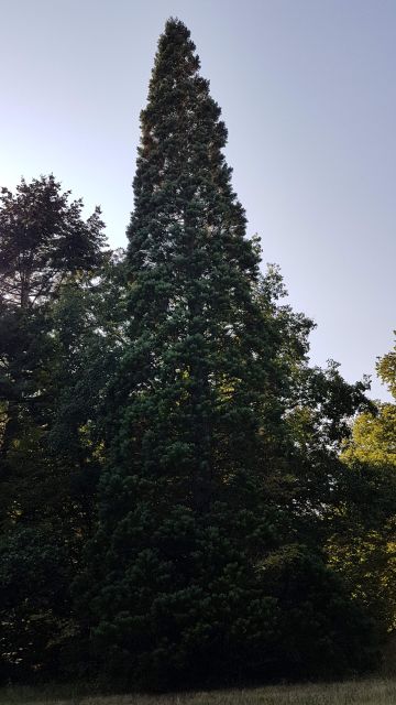 2018-09-01 - neuville-aux-bois (13)